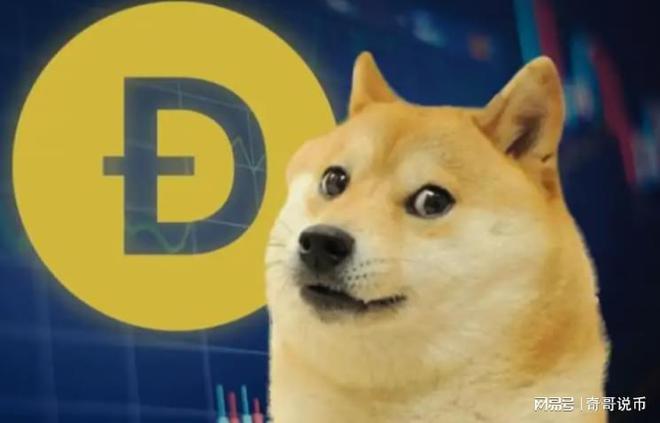 狗狗幣今日行情概覽，最新價格走勢分析